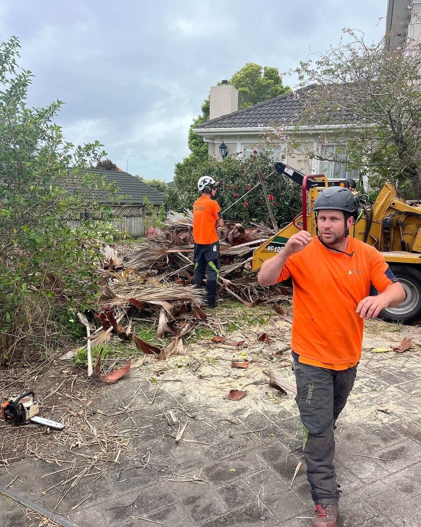 Brad McLaughlan, lead arborist at The Tree Climbers, working on site