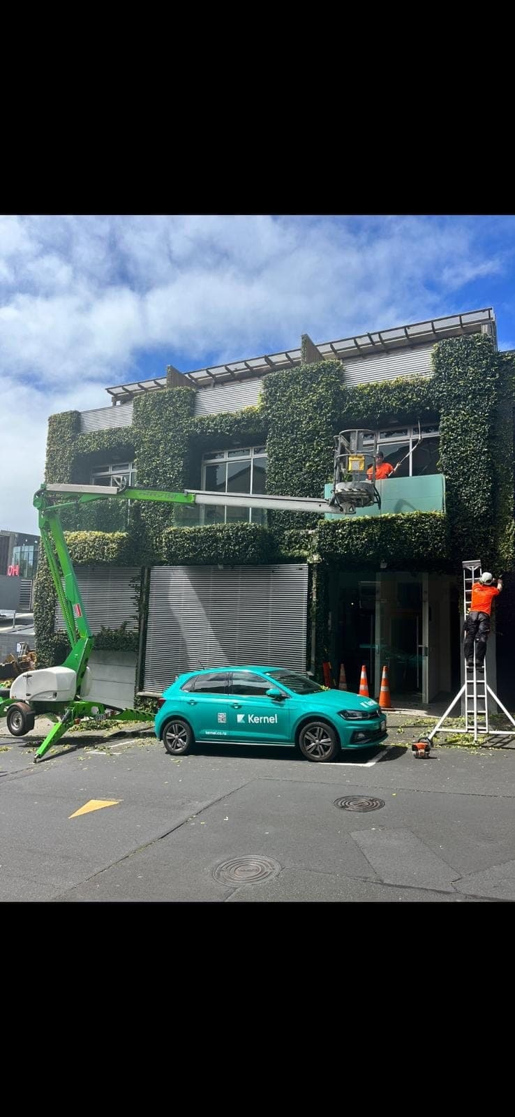 Two-storey hedge being trimmed alongside a building