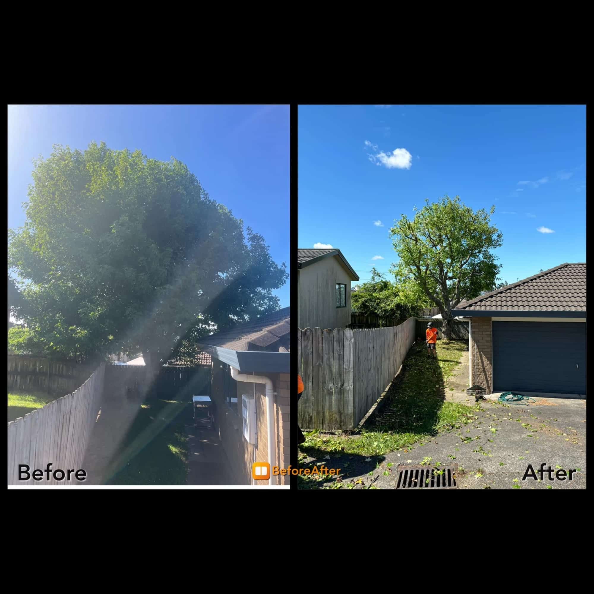 Ground-out tree stump leaving clear, level ground ready for landscaping