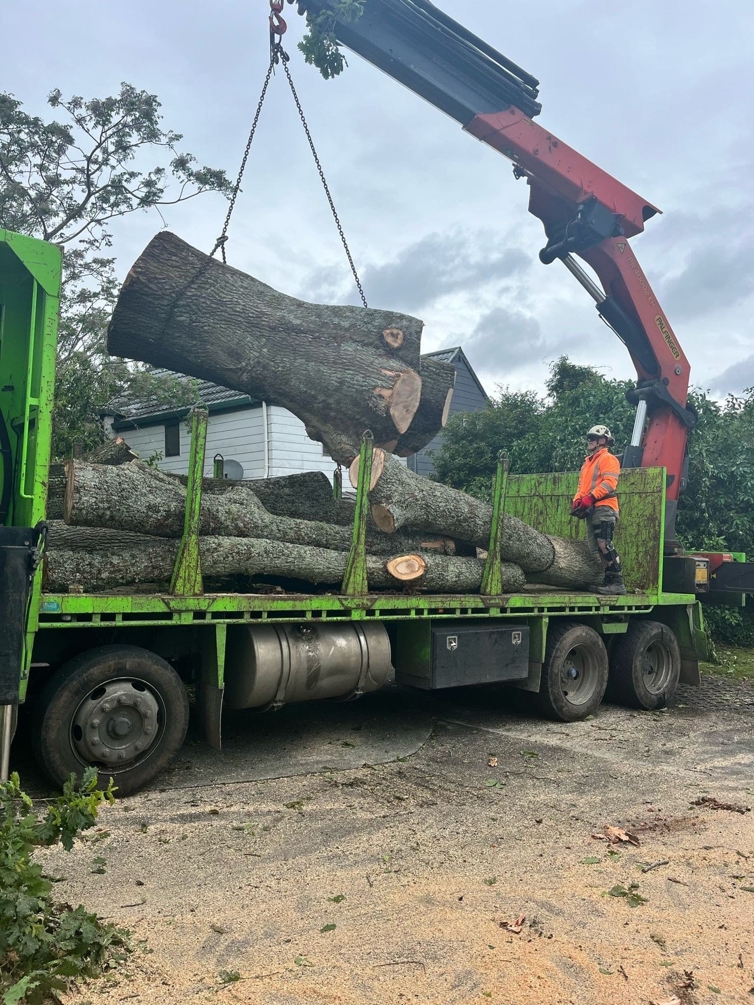 Sectioned logs loaded onto a hiab truck after a removal