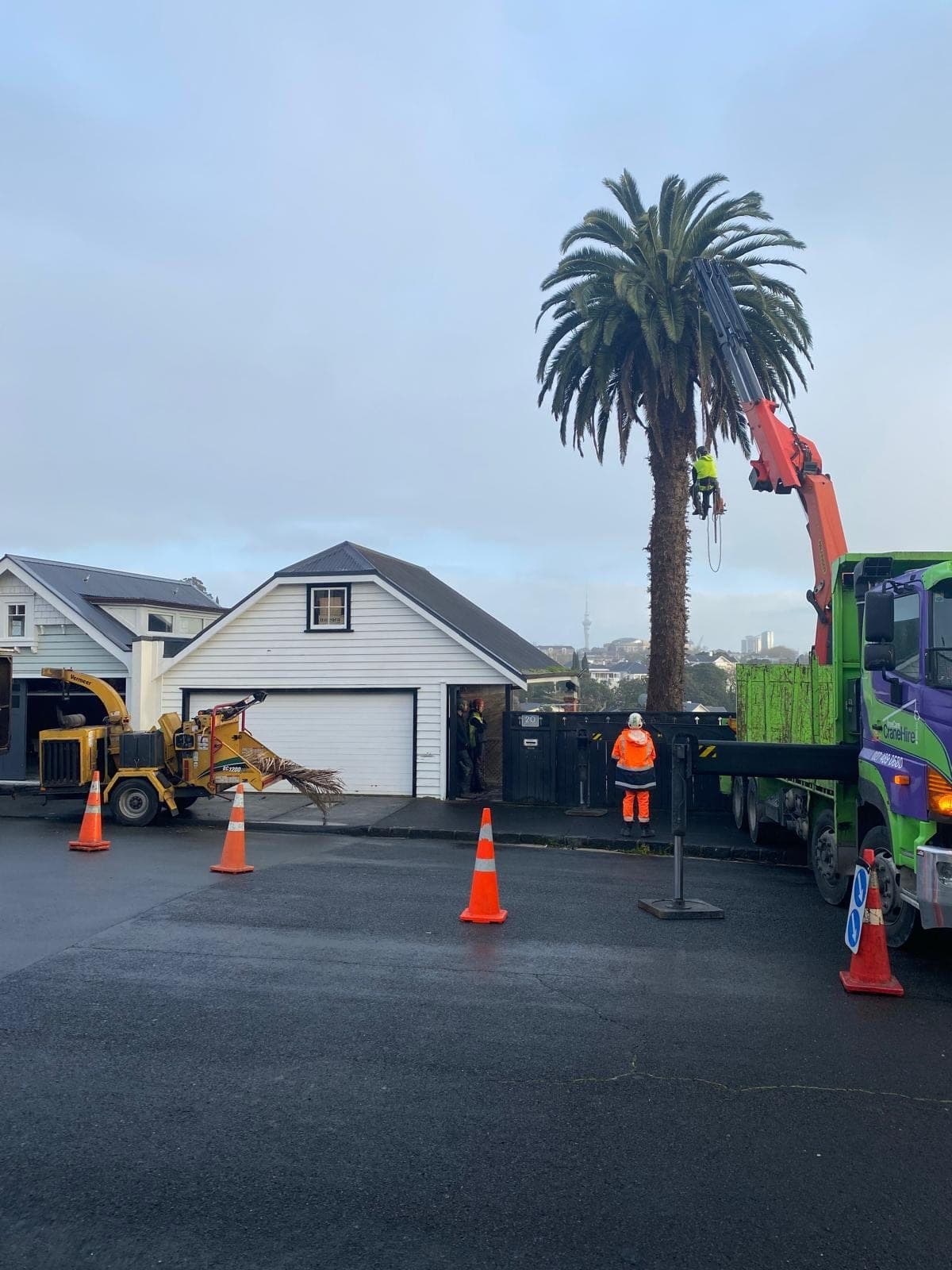 Crane assisting with a large palm removal